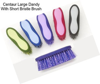 Centaur Large Dandy With Short Bristle Brush