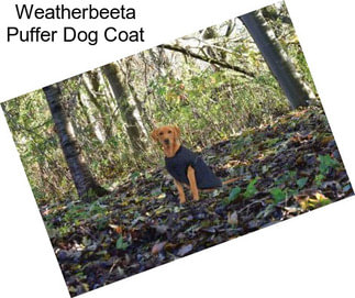 Weatherbeeta Puffer Dog Coat