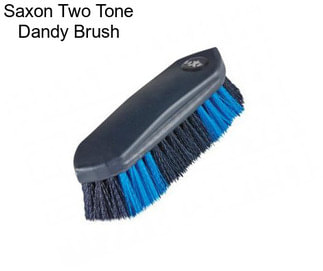 Saxon Two Tone Dandy Brush