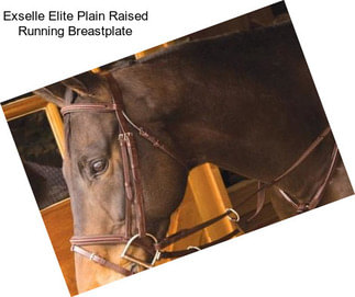 Exselle Elite Plain Raised Running Breastplate