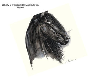 Johnny C (Friesian) By: Jan Kunster, Matted