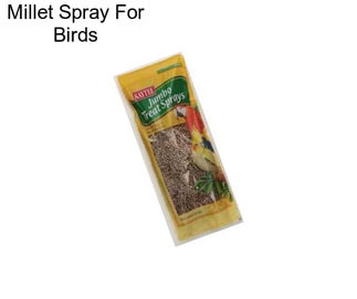 Millet Spray For Birds