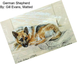 German Shepherd By: Gill Evans, Matted