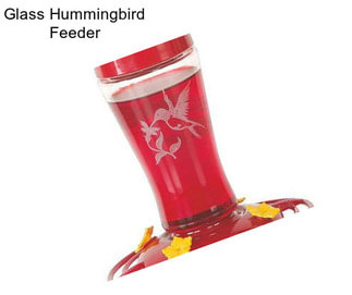 Glass Hummingbird Feeder