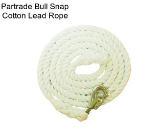 Partrade Bull Snap Cotton Lead Rope