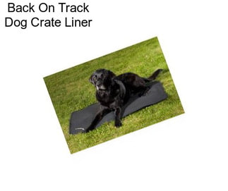 Back On Track Dog Crate Liner