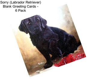 Sorry (Labrador Retriever) Blank Greeting Cards - 6 Pack