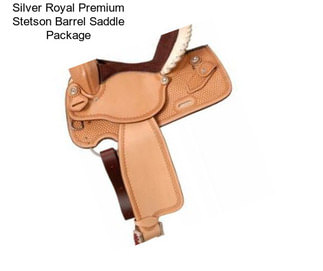 Silver Royal Premium Stetson Barrel Saddle Package