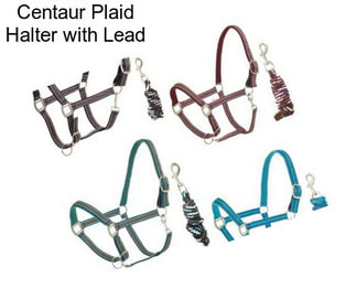 Centaur Plaid Halter with Lead