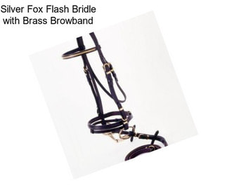 Silver Fox Flash Bridle with Brass Browband