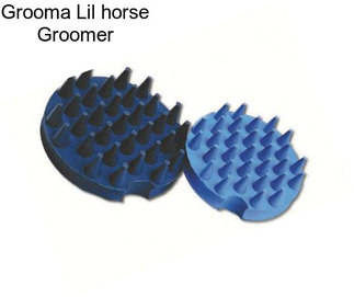 Grooma Lil horse Groomer