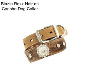 Blazin Roxx Hair on Concho Dog Collar