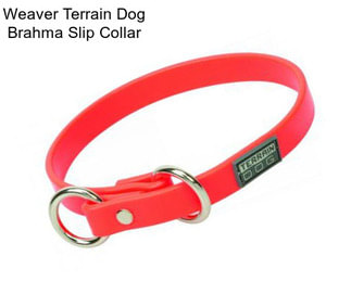 Weaver Terrain Dog Brahma Slip Collar