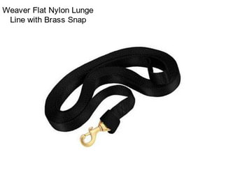 Weaver Flat Nylon Lunge Line with Brass Snap