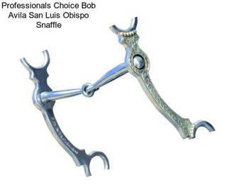 Professionals Choice Bob Avila San Luis Obispo Snaffle