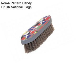 Roma Pattern Dandy Brush National Flags