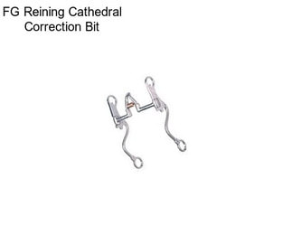 FG Reining Cathedral Correction Bit