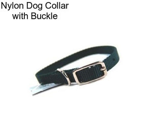 Nylon Dog Collar with Buckle