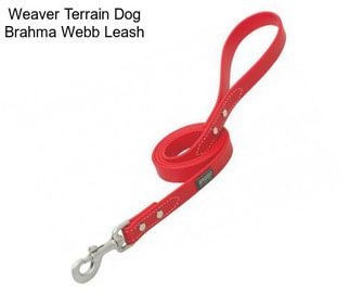 Weaver Terrain Dog Brahma Webb Leash