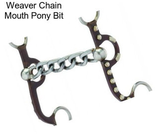 Weaver Chain Mouth Pony Bit