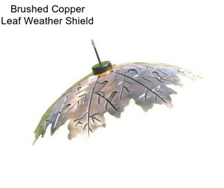 Brushed Copper Leaf Weather Shield