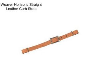 Weaver Horizons Straight Leather Curb Strap