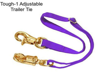 Tough-1 Adjustable Trailer Tie