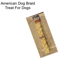 American Dog Braid Treat For Dogs