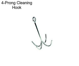 4-Prong Cleaning Hook