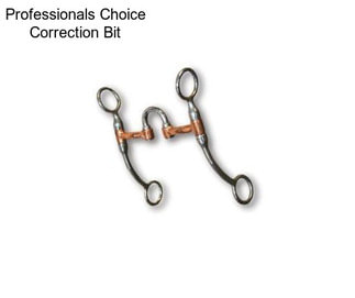 Professionals Choice Correction Bit