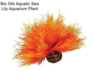 Bio Orb Aquatic Sea Lily Aquarium Plant