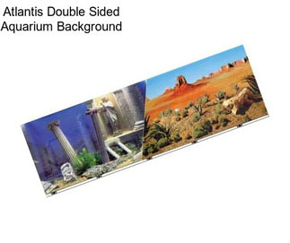 Atlantis Double Sided Aquarium Background