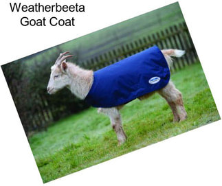 Weatherbeeta Goat Coat
