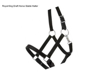 Royal King Draft Horse Stable Halter