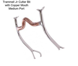 Trammell Jr Cutter Bit with Copper Mouth Medium Port