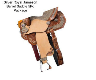 Silver Royal Jameson Barrel Saddle 5Pc Package