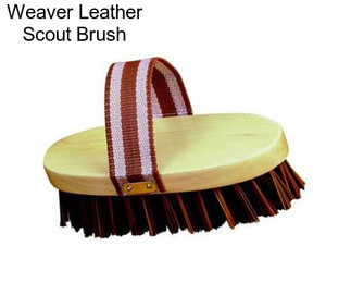 Weaver Leather Scout Brush