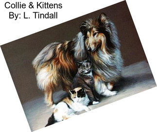 Collie & Kittens By: L. Tindall