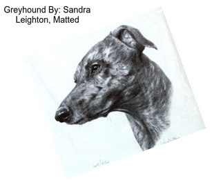Greyhound By: Sandra Leighton, Matted
