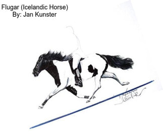 Flugar (Icelandic Horse) By: Jan Kunster