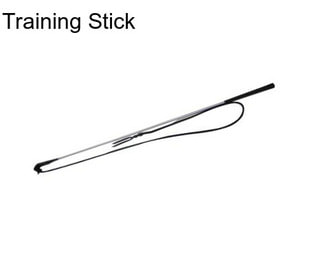 Training Stick