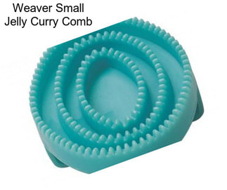 Weaver Small Jelly Curry Comb