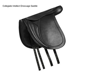 Collegiate Intellect Dressage Saddle