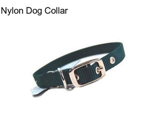 Nylon Dog Collar