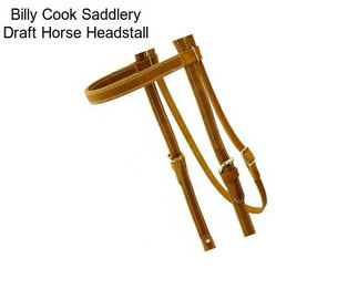 Billy Cook Saddlery Draft Horse Headstall