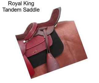 Royal King Tandem Saddle