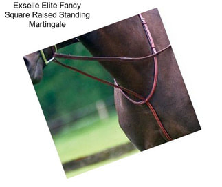 Exselle Elite Fancy Square Raised Standing Martingale