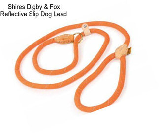 Shires Digby & Fox Reflective Slip Dog Lead