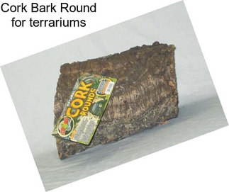 Cork Bark Round for terrariums