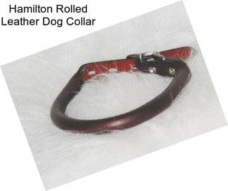 Hamilton Rolled Leather Dog Collar